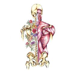 the back view of a human body with muscles highlighted and flowers on its chest,