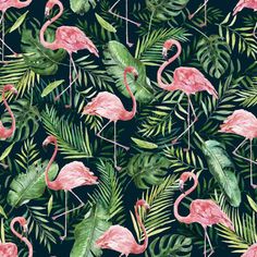 pink flamingos and palm leaves on a dark green background with watercolng effect