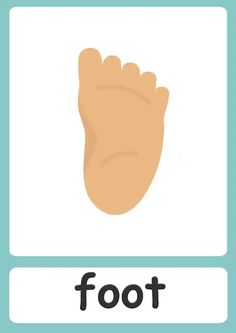 an image of a foot with the word foot below it