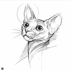 a drawing of a cat with big eyes