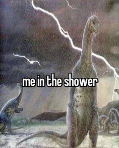 an image of dinosaurs in the rain with text that reads, me in the shower