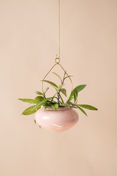 a hanging planter filled with green plants on top of a white table next to a pink wall