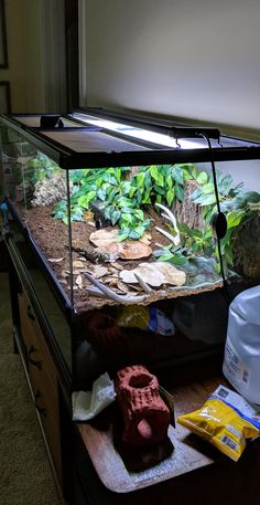 a fish tank filled with water and plants on top of a counter next to a bag of food