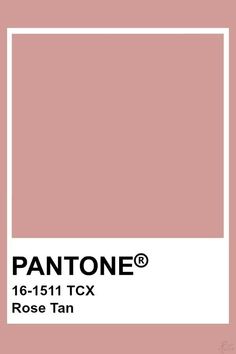 pantone's silver pink color is shown in the frame, and it looks to be