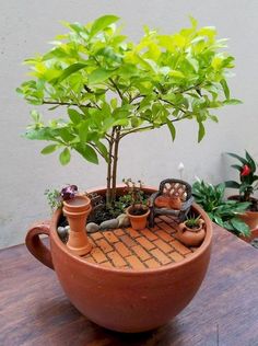 a potted plant sitting on top of a wooden table