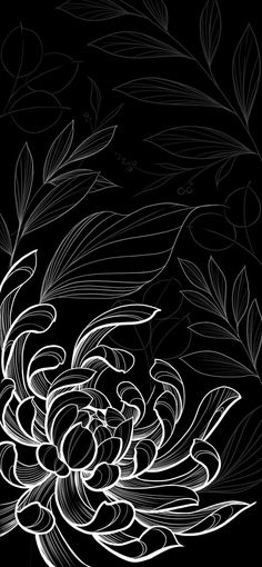 a black and white drawing of a flower on a dark background, with leaves in the foreground