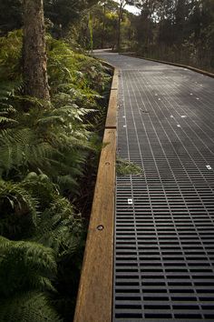 an empty road surrounded by green trees and plants on both sides with grates in the middle