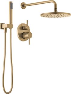 an image of a shower head and handset with thermostaer in brushed brass