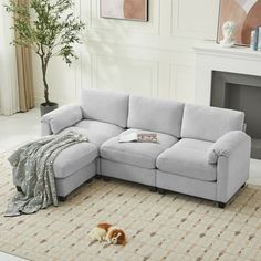 a dog laying on the floor in front of a couch with a blanket over it