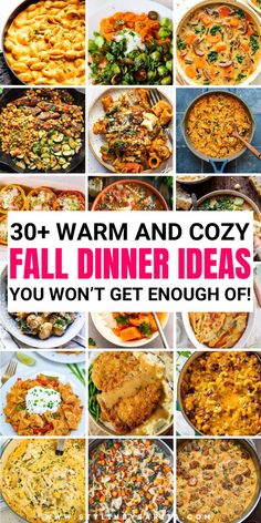 fall dinners Fall Night Dinner Ideas, Fall/winter Dinner Ideas, Crockpot Fall Recipes Dinners, Easy Fall Dinners For Two, Fall Easy Meals, Easy Fall Family Dinners, Fall Supper Recipes, Fall Inspired Dinner Recipes, Fall Meals Easy