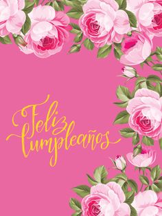 pink roses with gold lettering on a pink background