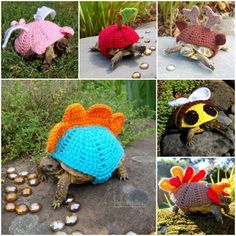 crocheted hats and turtle shells are featured in this series of photos, including one with