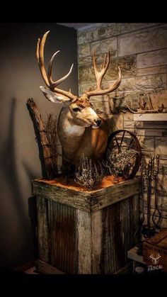 a deer head mounted on top of a wooden box