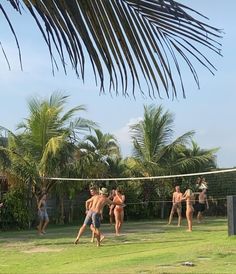 some people are playing volleyball on the grass