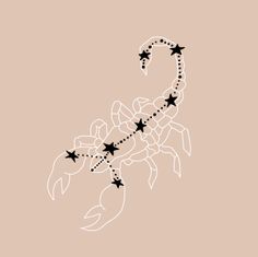 a drawing of a scorpion with stars on it