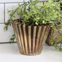 two planters with plants in them sitting on a counter next to a tiled wall