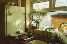 the kitchen sink is full of dishes and plants in front of a window that looks out onto the backyard