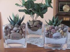 three glass vases with rocks and plants in them