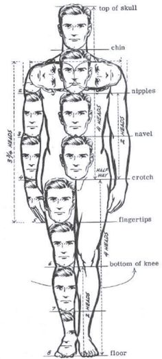 diagram of the human body with labels