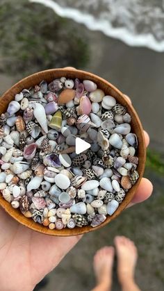 a person holding a wooden bowl filled with sea shells