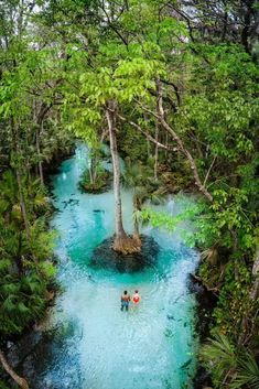 two people standing in the middle of a river surrounded by trees