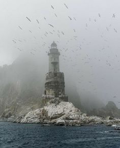 many birds flying around a light house in the middle of the ocean on a foggy day