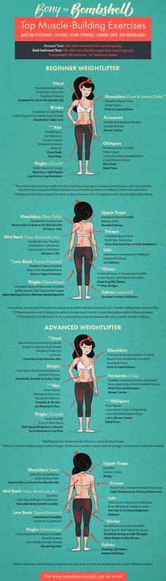 the top muscle building exercises poster