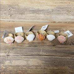 seashells are arranged in rows on a wooden surface with tags attached to them