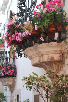 some pink flowers are growing out of an iron planter on the side of a building