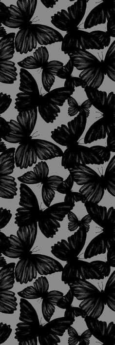 Carpet Ideas 2023, Free Wallpaper Backgrounds, Iphone Wallpaper Aesthetic, Carpet Ideas, Wallpaper Iphone Wallpaper, Butterfly Wallpaper Iphone, Iphone Wallpaper Photos