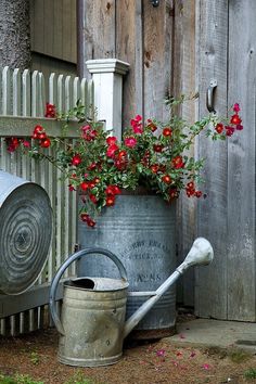 black and white photograph of an old watering can with flowers in it next to a fence