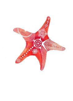 a red and white drawing of a starfish with patterns on it's shell