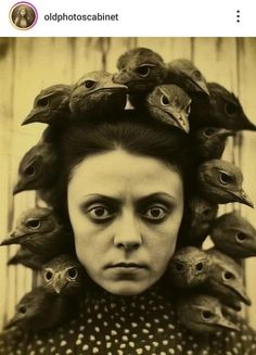 a woman with many birds on her head and one is staring at the camera,