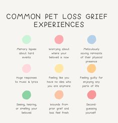 Grieve Loss Of Pet, How To Grieve A Pet, Journal Prompts Pet Loss, Quotes About Lost Pets, Childhood Pet Loss, Bon Ami, Mental Stability, Memorial Ideas, Healing Journaling