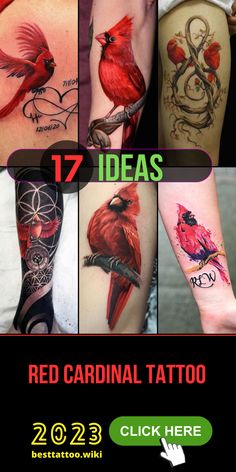 the red cardinal tattoo is on display in this advert for tattoos and piercings