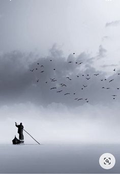 a person sitting in the water with birds flying overhead