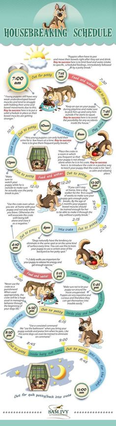 the house training schedule for dogs is shown in this poster, which shows how to use it