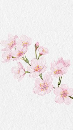 watercolor painting of pink flowers on white paper