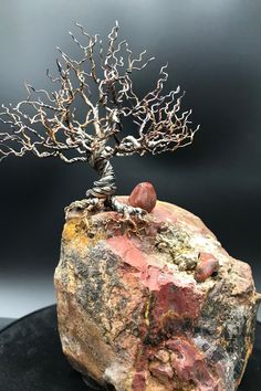 a rock with a tree growing out of it's top on a black surface