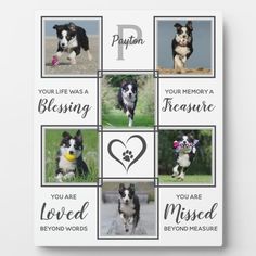 a collage of dogs with their names and pictures on it's back side