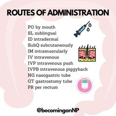 a pink poster with the words routes of administration