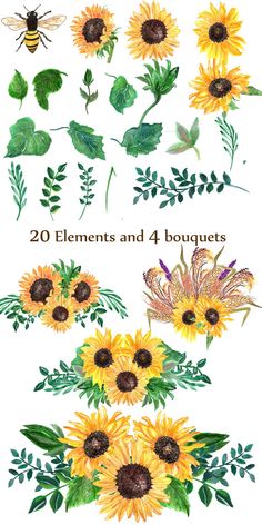 watercolor sunflowers and leaves on white background with text that says 20 elements and 4 bouquets