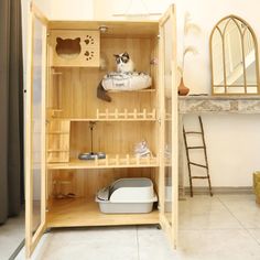 a cat sitting on top of a wooden shelf next to a mirror and other items