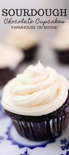 chocolate cupcakes with white frosting on a blue and white plate