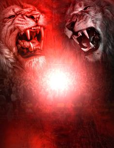 two lions with their mouths open in front of a red and black background at night