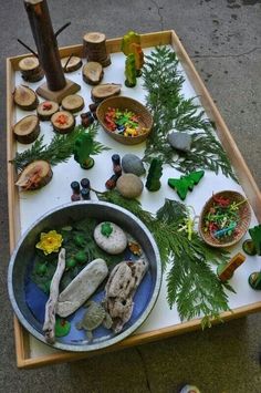 a table with rocks, plants and other items on it that are sitting on the ground