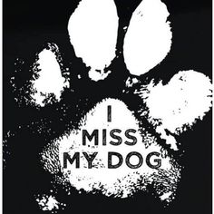 an animal's paw with the words i miss my dog written in white on it