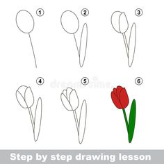 step by step drawing instructions how to draw a tulip for kids and beginners