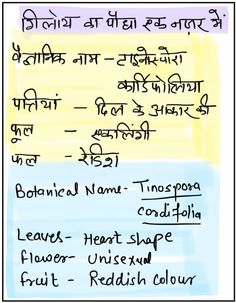 a handwritten note with the names of different types of flowers and plants in it