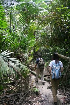 two people walking through the jungle with backpacks